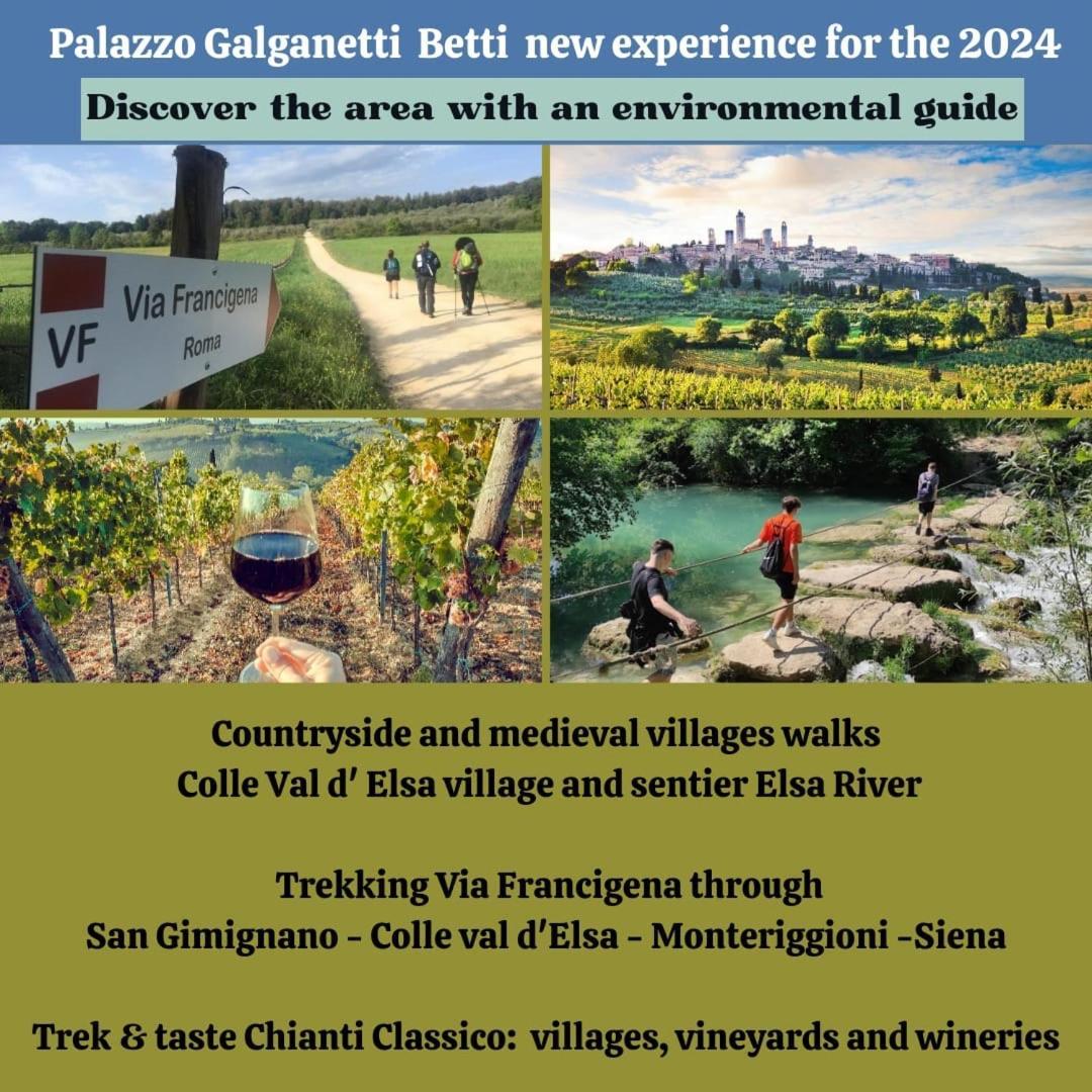 Willa Palazzo Galganetti Betti Colle Val D'Elsa Zewnętrze zdjęcie